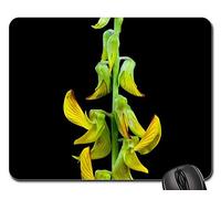 Tappetino da Gaming, Yellow Flower Garden Green Plant Spring Color Tappetini Mouse Ergonomico Tampone per Mouse Pratica Tappetino Mouse Pad per Gaming Ufficio 25X30Cm