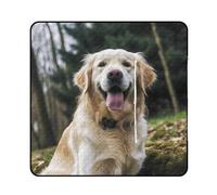 Tappetino da picnic portatile, divertente tappetino da picnic stampato Golden Retriever,Coperta da spiaggia pieghevole all'aperto,Tappeto interno