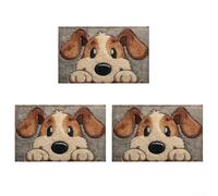 Tappetino in velluto per interni con caratteristiche affidabili resistenti allo sporco e all'usura (3 pezzi)