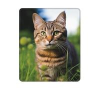 Tappetino Mouse 25X30CM, A Tabby Cat On The Grass Tappetino Scrivania Facile da Pulire Mouse Pad Confortevole Mousepad per Scrivania Laptop Ufficio