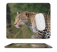 Tappetino Mouse, African Leopard Printed Confortevole Tappeto Mouse Multifunzionale Mousepad per Gamers Computer Casa 25X30cm