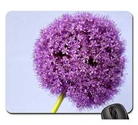 Tappetino Mouse, Allium Purple Ball Flower Close Flower Bloom Tappetini Mouse Liscia Tampone per Mouse Personalizzato Mouse Pad per Gaming Casa 25X30Cm