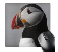 Tappetino Mouse, Atlantic Puffin Birds Machias Sea Dog Isl Me Keith And Snell Lavabile Tampone per Mouse Antiscivolo Gaming Pad per Ufficio Pc Laptop 25X30cm