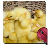 Tappetino Mouse, Baby Ducks in The Basket Mekong Delta Vietnam Tampone per Mouse Antisfilacciamento Tappetino Mouse Pad Multifunzionale Mouse Pad per Laptop Casa 25X30Cm