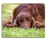 Tappetino Mouse, Beautiful Young Irish Setter Female Lying In The Grass Tappeto Mouse Antisfilacciamento Gaming Tappetino Mouse Confortevole Tappetino Mouse Gaming Per Gaming Gamers 25X30Cm