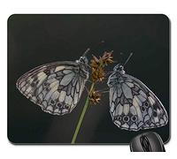 Tappetino Mouse, Chess Board Butterfly Edelfalter Insect Nature Mouse Pad Personalizzato Tappetino per Il Mouse da Gioco Bordi Cuciti Tappetino Mouse Pad per Computer Gaming 25X30Cm