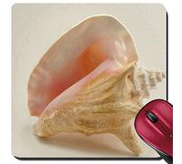 Tappetino Mouse, Conch from The Florida Keys Tappetino Mouse Gaming Base in Gomma Tappetini per Il Mouse da Gioco Antisfilacciamento Gaming Pad per Pc Casa 25X30Cm