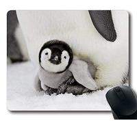 Tappetino mouse da gioco Baby Penguin Mouse Pad Tappetino mouse Design Eco gomma naturale Resistente Accessori da scrivania Desk Tappetini mouse per regalo