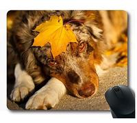 Tappetino mouse da gioco con bordo cucito di precisione, tappetino mouse per mouse da gioco di Australian Shepherd Mouse Pad