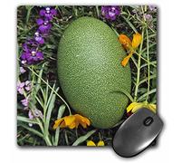 Tappetino Mouse, Egg of Cassowary Bird Papua New Guinea Personalizzato Mouse Pad Antisfilacciamento Gaming Pad per Gamers Casa Laptop 25X30cm