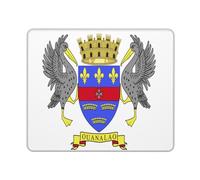 Tappetino Mouse Flag of Saint Barthelemy Print Mouse Pad Multifunzione Tappetino Scrivania Impermeabile Mousepad per Laptop Casa Computer 25X30CM