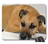 Tappetino Mouse Gaming, Black Black Mouth Cur Brown Dog Rescue Dog Gaming Mousepad Ergonomico Tappeto Mouse Confortevole Gaming Pad per Laptop Gaming 25X30Cm
