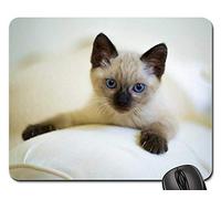 Tappetino Mouse Gaming, Cute Cat Pet Kitten Mammals Little Thai Siamese Tappetini Mouse Ergonomico Gaming Pad Liscia Tappetini per Il Mouse per Ufficio Notebook 25X30Cm
