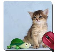 Tappetino Mouse Gaming, Cute Somali Kitten with Toy On The Blue Background Tampone per Mouse Antisfilacciamento Tappetino Mouse Base in Gomma Tappetini per Il Mouse per Notebook Laptop 25X30Cm
