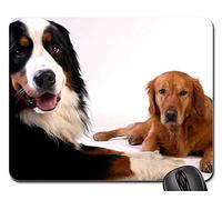 Tappetino Mouse Gaming, Golden Retriever Bernese Mountain Dog Animal Tappetini per Il Mouse Pratica Tappeto Mouse Bordi Cuciti Tappetino da Gaming per Laptop Ufficio 25X30Cm