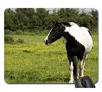 Tappetino Mouse Gaming, Horse Pony Black White Pinto Animal Mammal Tappetino Mouse Liscia Tappetino Per Il Mouse Da Gioco Ergonomico Gaming Pad Per Laptop Computer 25X30Cm