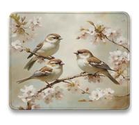 Tappetino Mouse Gaming - pianta, Tappetino Mouse per Computer con Base in Gomma Antiscivolo, Migliora Precisione e Velocità, Portatile Mousepad, 32 x 26 cm, Accessori Gaming - Uccelli (3) c0-825