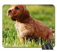 Tappetino Mouse Gaming, Puppy Doggy Gold Cocker Spaniel English Tappetino Mouse Pad Liscia Tappetino per Il Mouse da Gioco Bordi Cuciti Gaming Tappetino Mouse per Notebook Casa 25X30Cm