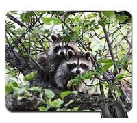 Tappetino Mouse Gaming, Raccoon Animal Wildlife Fur Tree Wood Tappetini per Il Mouse Pratica Gaming Pad Bordi Cuciti Mouse Pad per Pc Gaming 25X30Cm