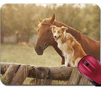 Tappetino Mouse Gaming, Red Border Collie Dog And Horse Together At Sunset in Summer Tappetino Mouse Pad Personalizzato Tappetini Mouse Base in Gomma Tappeto Mouse per Gaming Laptop 25X30Cm