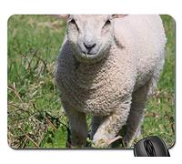 Tappetino Mouse Gaming, Sheep Lamb Field Farm Agriculture Wool Livestock Tappetini per Il Mouse Antipolvere Mousepad Personalizzato Tappetini per Il Mouse da Gioco per Computer Pc 25X30Cm