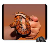Tappetino Mouse Gaming, Snake Rainbow Boa Reptile Scale Tappeto Mouse Personalizzato Gaming Pad Confortevole Mouse Pad per Casa Notebook 25X30Cm