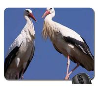 Tappetino Mouse Gaming, Stork Bird Birds Nest Storchennest Nature Plumage Gaming Mousepad Ergonomico Mousepad Bordi Cuciti Tappetini per Il Mouse da Gioco per Notebook Casa 25X30Cm