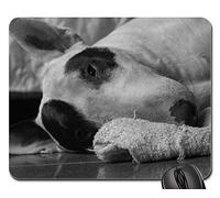 Tappetino Mouse Gaming, Terrier Dog Black And White Tappetini Mouse Antipolvere Tappeto Mouse Bordi Cuciti Tappetino per Il Mouse da Gioco per Gaming Ufficio 25X30Cm