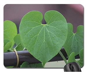 Tappetino Mouse, Giloy Plant Rainy Day Leaves Tappetini per Il Mouse da Gioco Liscia Tappetino Mouse Gaming Personalizzato Gaming Tappetino Mouse per Gaming Ufficio 25X30Cm