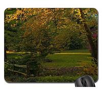 Tappetino Mouse, Golden Hour Fall Autumn Nature Season Foliage Gaming Tappetino Mouse Confortevole Gaming Mousepad Ergonomico Tappetino Mouse Pad per Casa Computer 25X30Cm