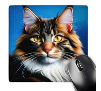 Tappetino Mouse, Incredible Maine Coon Cat Portrait On Blue Cool Lavabile Tappetino per Mouse Bordi Cuciti Tappetino da Gaming per Pc Ufficio Casa 25X30cm