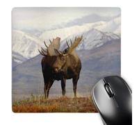 Tappetino Mouse, Moose Cow Wildlife Denali National Park Alaska Steve Kazlowski Lavabile Mouse Pad Pratica Tappetino da Gaming per Notebook Casa Tastiera 25X30cm