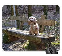 Tappetino Mouse Pad, American Cocker Spaniel Dog On Bench Animal Tappeto Mouse Bordi Cuciti Tappetini per Il Mouse da Gioco Liscia Tappetino da Gaming per Ufficio Notebook 25X30Cm
