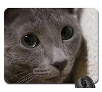 Tappetino Mouse Pad, Cat Russian Blue Kitty Kitten Soft Gray Sleepy 4 Gaming Tappetino Mouse Personalizzato Mouse Pad Confortevole Tappeto Mouse per Gaming Notebook 25X30Cm