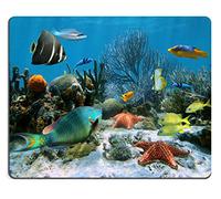 Tappetino Mouse Pad, Coral Garden With Starfish And Colorful Tropical Fish Caribbean Sea Mouse Pad Base In Gomma Tappetini Mouse Confortevole Gaming Mousepad Per Gaming Laptop 25X30Cm
