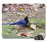 Tappetino Mouse Pad, Long-Tailed Mountain Mother Blue Magpie Tappetini per Il Mouse Ergonomico Gaming Tappetino Mouse Pratica Tappetino Mouse Gaming per Ufficio Laptop 25X30Cm