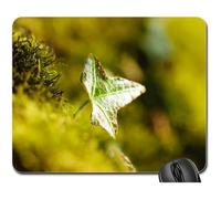 Tappetino Mouse Pad, Outdoor Closeup Close Close-Up Tree Lichen Tappetino per Il Mouse da Gioco Ergonomico Mouse Pad Liscia Tappetini per Il Mouse per Gaming Notebook 25X30Cm