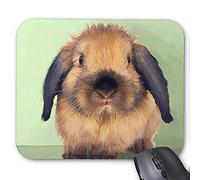 Tappetino mouse pad per mouse Lovely Rabbit Mousepad Serie Holland Lop Mouse Pad Bunny Coniglio Mouse Pad Rectangle Tappetini per mouse