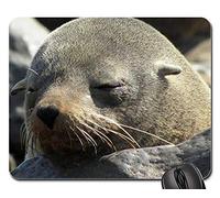 Tappetino Mouse Pad, Sea Sleep Lazy Animal World Nature Namibia Gaming Tappetino Mouse Pratica Tampone Per Mouse Ergonomico Tappetino Mouse Per Computer Gaming 25X30Cm