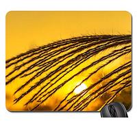 Tappetino Mouse Pad, Thatched Pampas Grass Sunset Sad Gold Gaming Pad Ergonomico Gaming Tappetino Mouse Personalizzato Tappetino per Il Mouse da Gioco per Computer Pc 25X30Cm