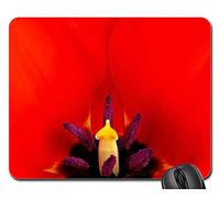 Tappetino Mouse Pad, Tulips Flower Bloom Close Stamp Fertilization Tappetini per Il Mouse da Gioco Antiscivolo Tappetino Mouse Gaming Bordi Cuciti Tappetino per Mouse per Pc Gaming 25X30Cm