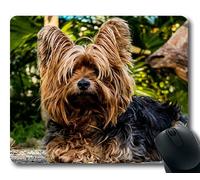 Tappetino mouse per mouse per mac e windows gamer Cane Yorkshire Terrier Cane piccolo per donna/uomo / bambino venduto da Yanteng