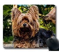 Tappetino mouse per mouse per mac e windows gamer Cane Yorkshire Terrier Cane piccolo per donna/uomo / bambino venduto da Yanteng