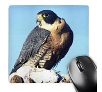 Tappetino Mouse, Peregrine Falcon Bird Native To Us David Northcott Base in Gomma Mouse Pad Personalizzato Gaming Pad per Tastiera Casa Gamers 25X30cm