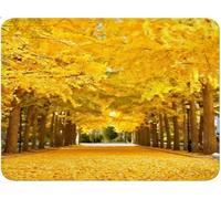 Tappetino Mouse Piccolo 200 x 300 x 3 mm, Tappetino Scrivania Mouse Pad da Gioco, Mousepad, Portatile, Scorrimento Facile, Migliora Velocità e Precisione, Accessori per L’ufficio Autunno Albero qw-366