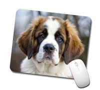 Tappetino Mouse, Saint Bernard Dog Puppy Base in Gomma Tappetino per Mouse Personalizzato Tappetino da Gaming per Ufficio Laptop Tastiera 25X30cm