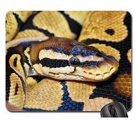 Tappetino Mouse, Snake Python Ball Python Animal Scale Beauty Tappetino Mouse Gaming Personalizzato Gaming Pad Antipolvere Gaming Tappetino Mouse per Notebook Laptop 25X30Cm