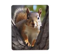 Tappetino Mouse Squirrel in The Tree Mouse Pad Superficie Antipolvere Accessori Gaming Resistente agli Schizzi Mousepad per Essenziale per Ufficio Ufficio Computer M