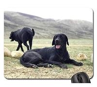 Tappetino Mouse, The Black Dog Labrador Prairie Tappetino per Il Mouse da Gioco Pratica Tappeto Mouse Liscia Mouse Pad per Notebook Laptop 25X30Cm