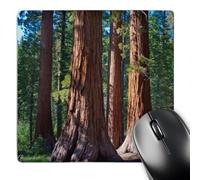 Tappetino Mouse, USA California Redwood Tree Mariposa Grove Lavabile Tampone per Mouse Pratica Gaming Pad per Gamers Pc Ufficio 25X30cm